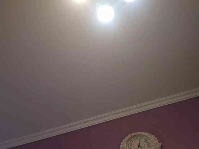 AlejandraDelane webcam