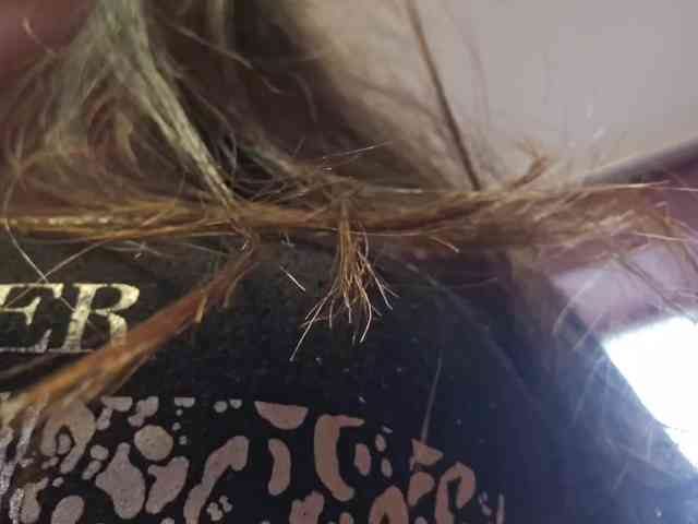 AlejandraDelane webcam