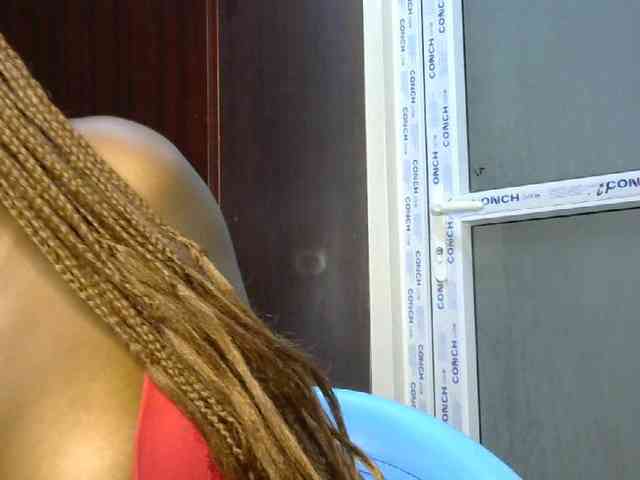 Joankein webcam