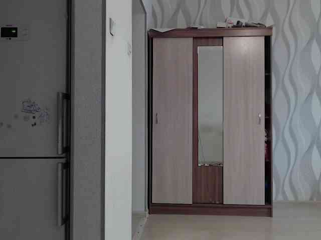 Lizabn webcam