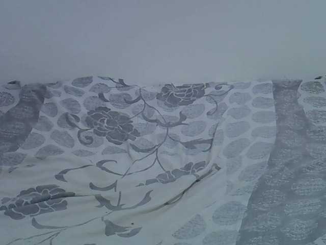 Preview of hotmary01