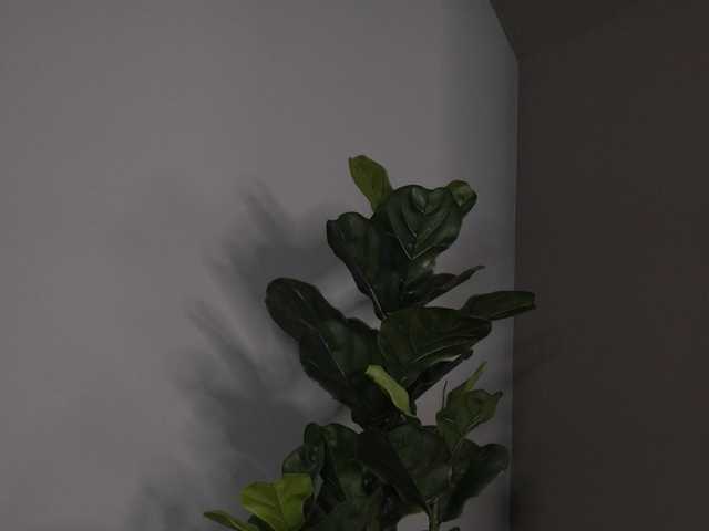 AudreySosa from BongaCams is Freechat