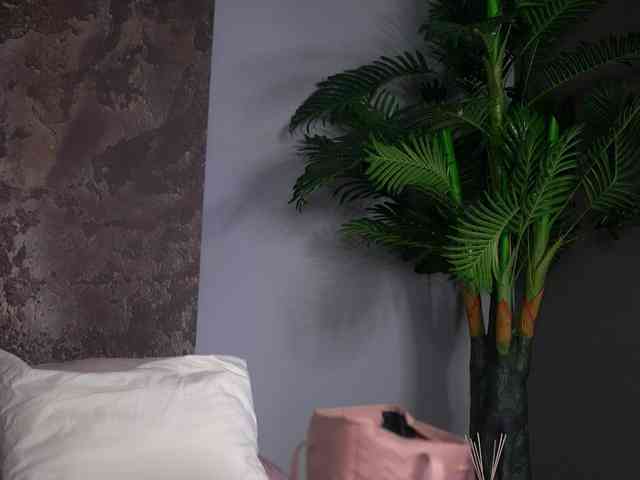 AudreySosa AudreySosa