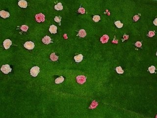 HugeTittiess Porn Show