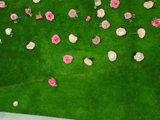 HugeTittiess Porn Show