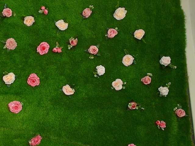 HugeTittiess's BongaCams show and profile