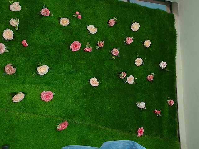 HugeTittiess's BongaCams show and profile