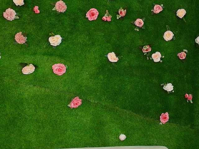 HugeTittiess's BongaCams show and profile