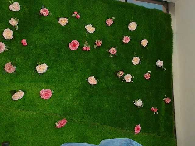 HugeTittiess's BongaCams show and profile