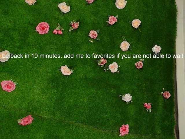 HugeTittiess's BongaCams show and profile