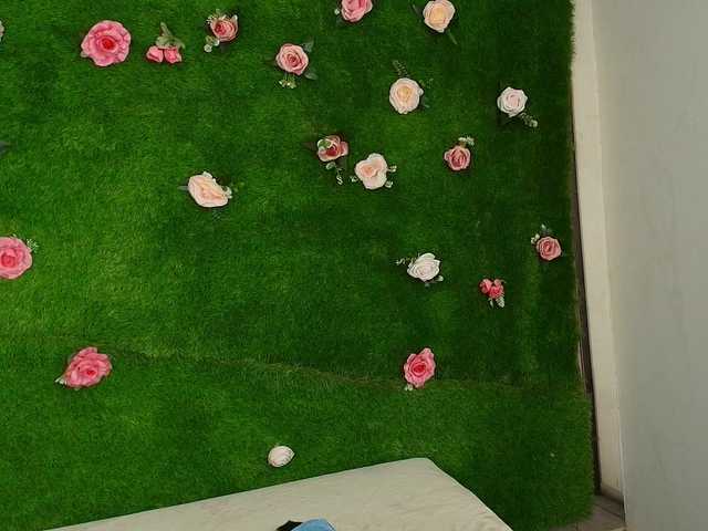 HugeTittiess's BongaCams show and profile