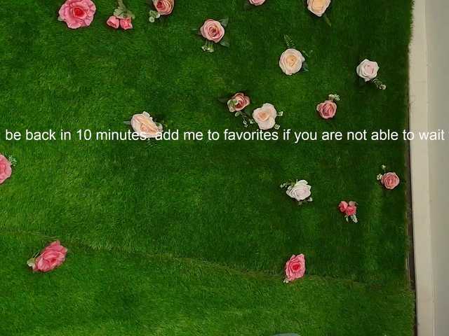 HugeTittiess's BongaCams show and profile