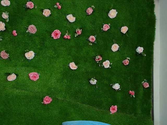 HugeTittiess's BongaCams show and profile