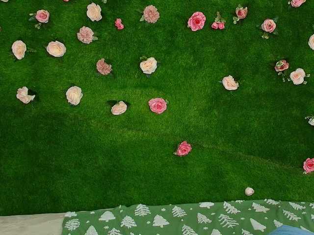 HugeTittiess's BongaCams show and profile