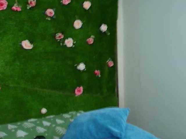 HugeTittiess's BongaCams show and profile