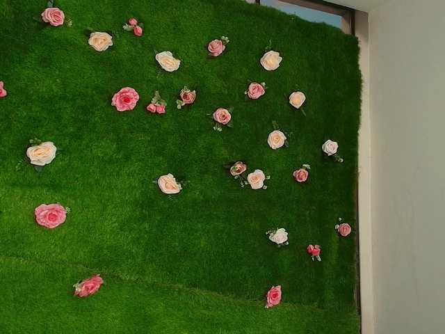 HugeTittiess's BongaCams show and profile