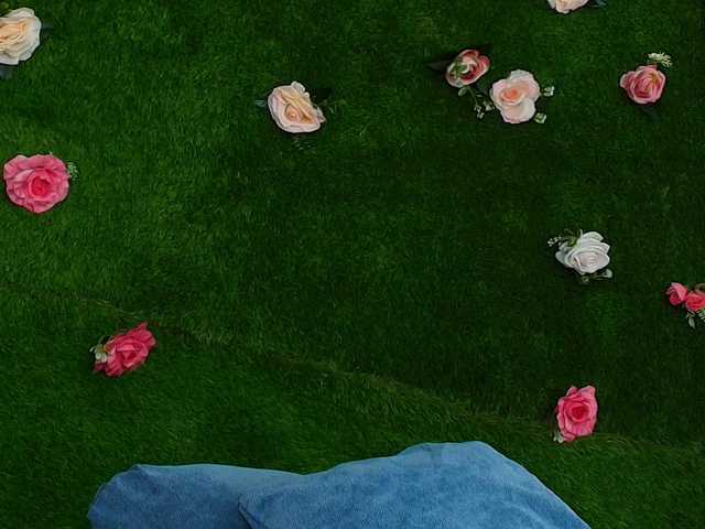 HugeTittiess's BongaCams show and profile