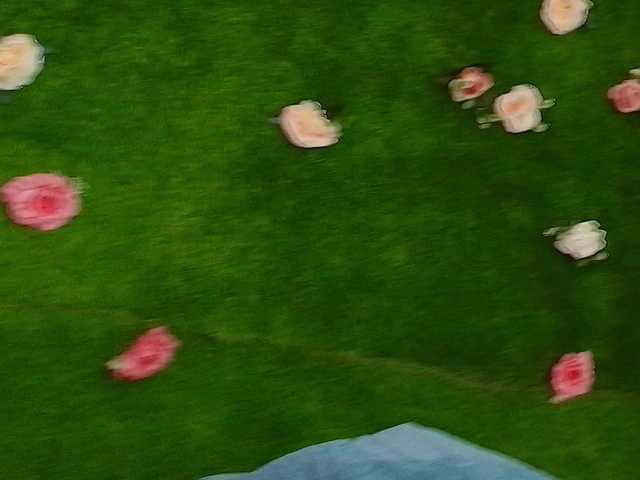 HugeTittiess's BongaCams show and profile