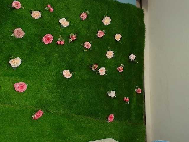 HugeTittiess's BongaCams show and profile