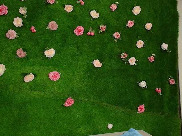 HugeTittiess's BongaCams show and profile