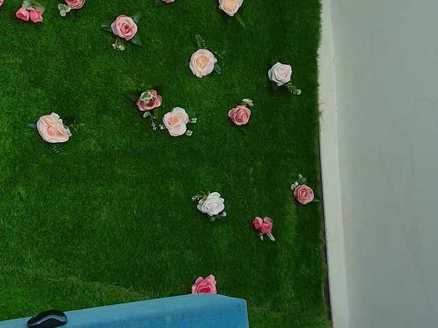 HugeTittiess's BongaCams show and profile