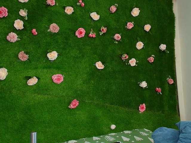 HugeTittiess's BongaCams show and profile