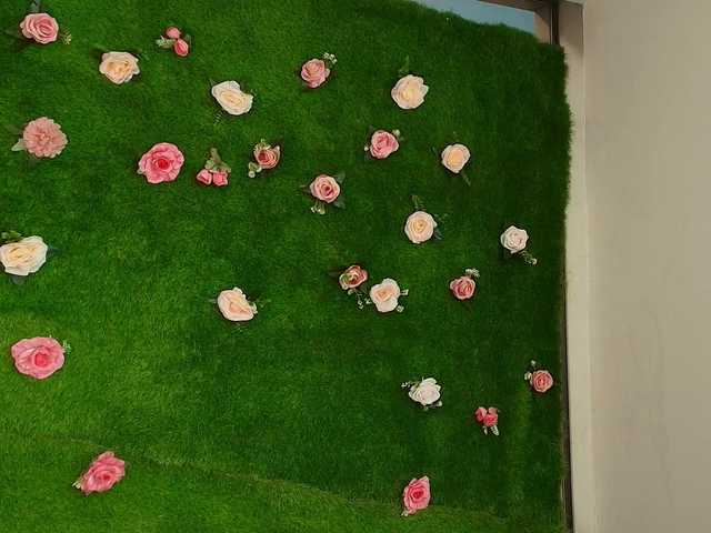 HugeTittiess's BongaCams show and profile