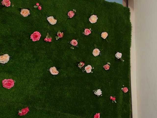 HugeTittiess's BongaCams show and profile