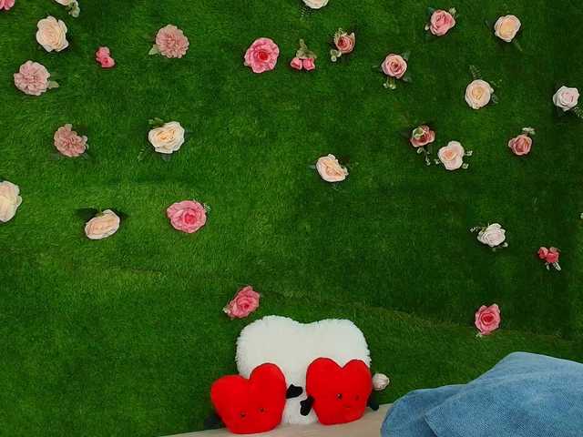 HugeTittiess from BongaCams is Freechat