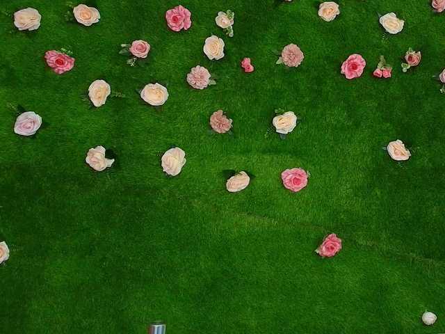 Profile and Statistics for HugeTittiess on BongaCams