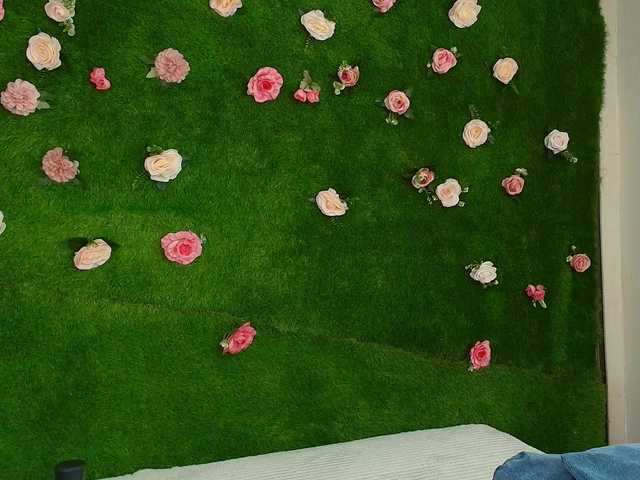 HugeTittiess's BongaCams show and profile