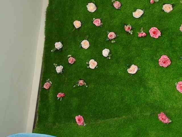 HugeTittiess HugeTittiess