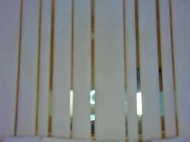 DaisyDelighte from BongaCams is Freechat