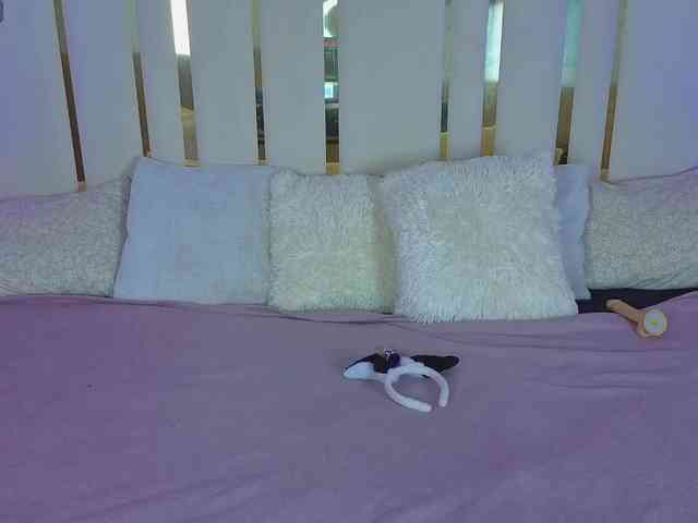 DaisyDelighte DaisyDelighte