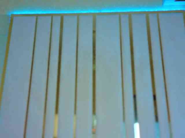 DaisyDelighte DaisyDelighte