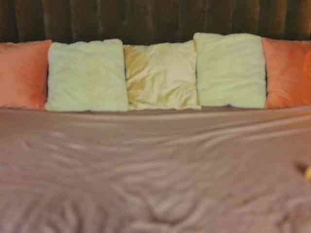 DaisyDelighte DaisyDelighte