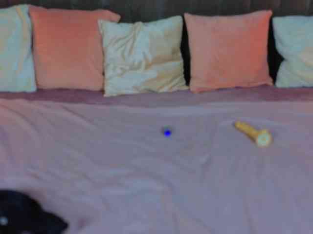 DaisyDelighte webcam