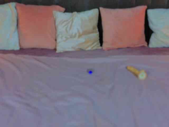 DaisyDelighte webcam