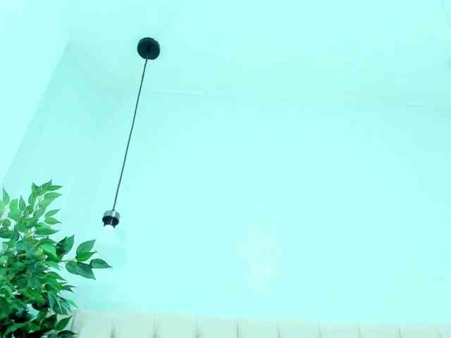 Mia-AND-Lion webcam