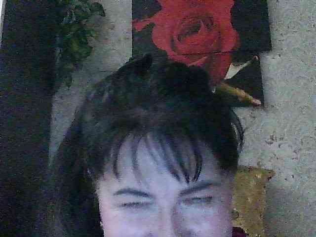 Laurador webcam