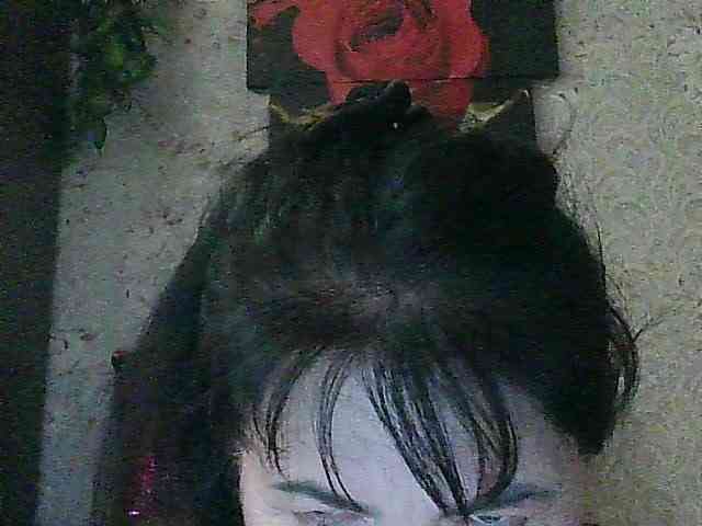 Laurador webcam