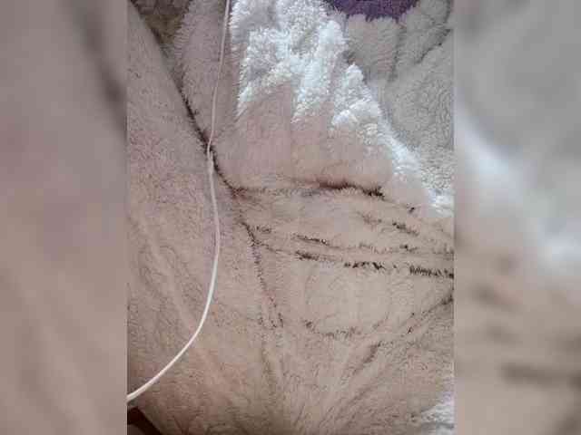 Shaved ebony, Shaved babes, Group chat for 20 39 tokens, Full privates for ..., 14