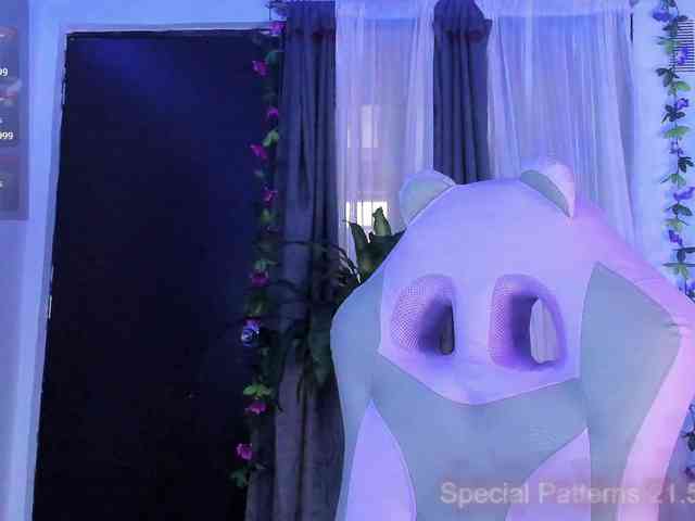 DannielaFerrer DannielaFerrer