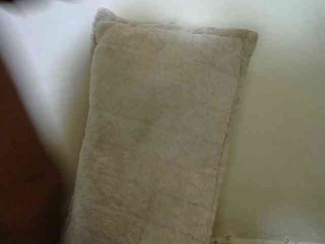 NastyEbony001 NastyEbony001