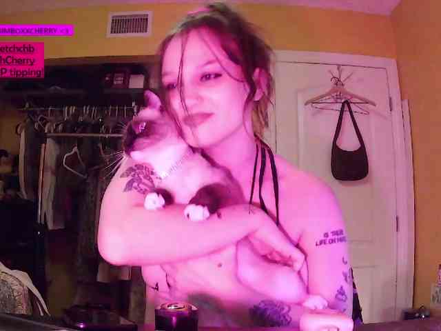 missxxxdarci webcam