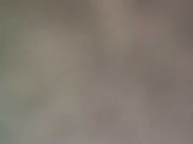 72000usd's BongaCams show and profile