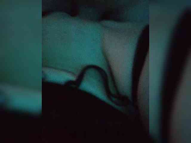 Maks04051 webcam