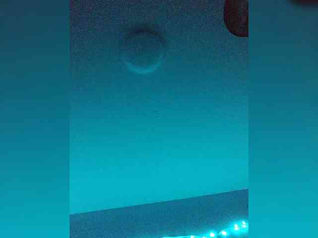 Maks04051 webcam