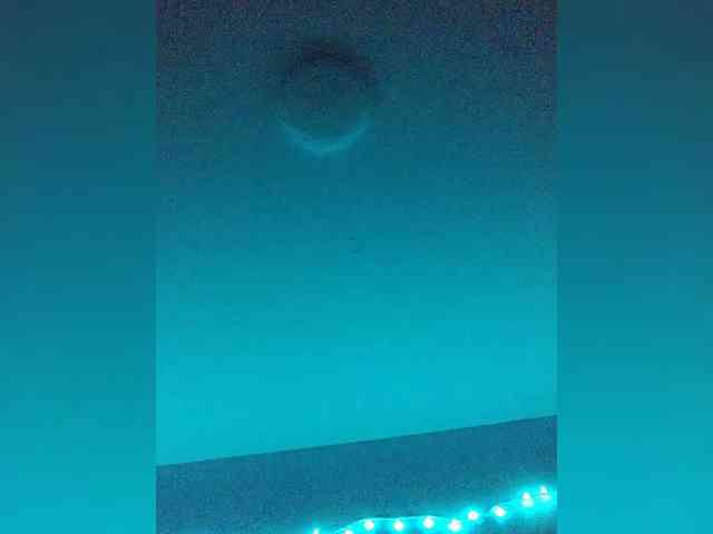 Maks04051 webcam