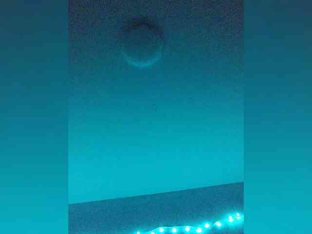 Maks04051 webcam